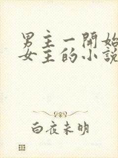 男主一开始不爱女主的小说