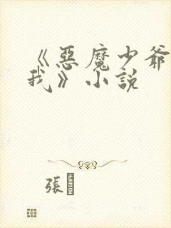 《恶魔少爷别惹我》小说