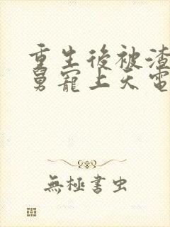 重生后被渣男舅舅宠上天电视剧