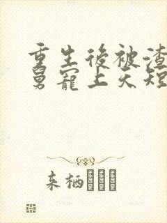 重生后被渣男舅舅宠上天短剧免费看