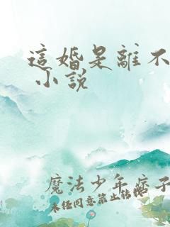 这婚是离不了了 小说
