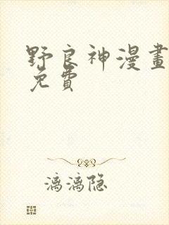 野良神漫画全集免费