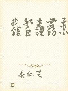 我那夫君柔弱不能自理的小说