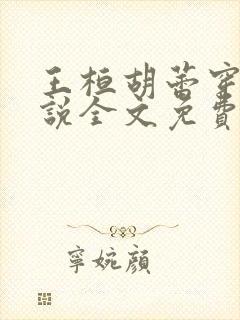 王桓胡蕾穿越小说全文免费阅读