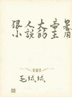 狠人大帝是哪部小说的主角