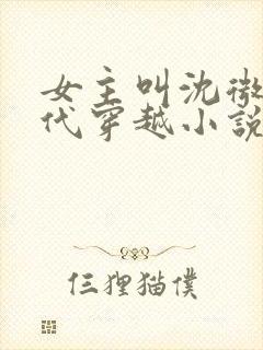 女主叫沈微的古代穿越小说