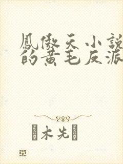 凤傲天小说里面的黄毛反派也想幸福