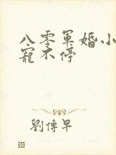 八零军婚小甜妻宠不停