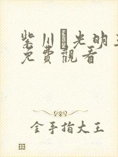 紫川·光明三杰免费观看