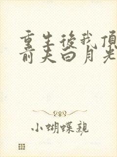 重生后我顶替了前夫白月光完结版