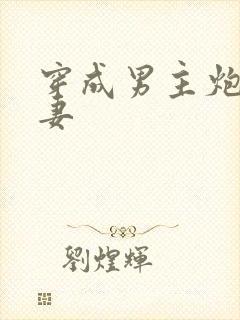 穿成男主炮灰前妻