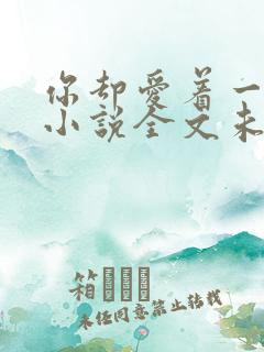 你却爱着一个他小说全文未删减免费