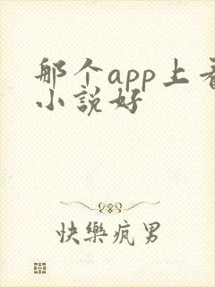 那个app上看小说好