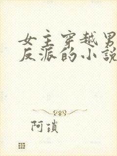 女主穿越男主是反派的小说