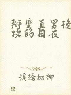 掰弯直男后被反攻的日夜