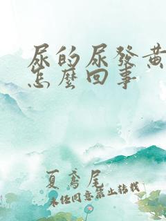 尿的尿发黄浑浊怎么回事