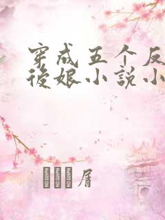 穿成五个反派的后娘小说小说