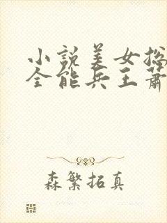 小说美女总裁的全能兵王萧晨