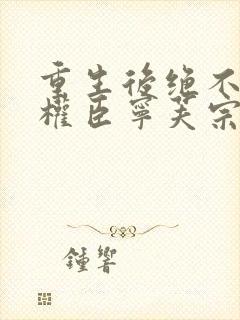 重生后绝不嫁给权臣宁芙宗肆小说最新章节