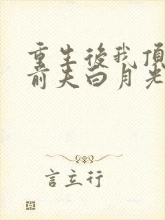 重生后我顶替了前夫白月光讲的什么