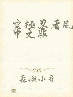 究极忍者风暴4中文版