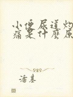 小便尿道灼热刺痛是什么原因