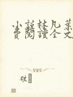 小说林凡叶惜免费阅读全文最新章节