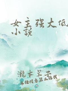 女主强大低调的小说