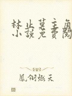 林止莫主角穿越小说免费阅读