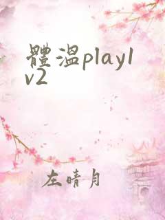 体温play1v2