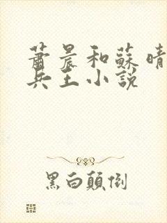 萧晨和苏晴全能兵王小说