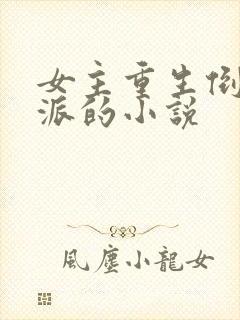 女主重生倒追反派的小说