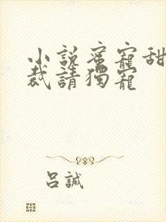 小说蜜宠甜妻总裁请独宠