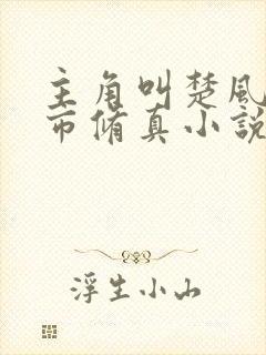 主角叫楚风的都市修真小说