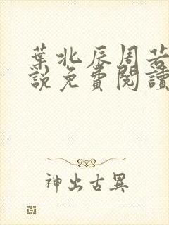 叶北辰周若妤小说免费阅读全文