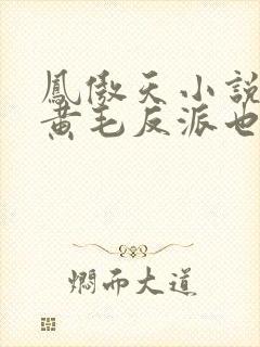 凤傲天小说里的黄毛反派也想要幸福沐恩