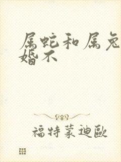 属蛇和属兔的合婚不