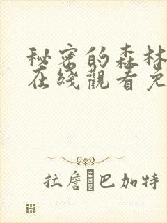 秘密的森林韩剧在线观看免费全集电视剧高清