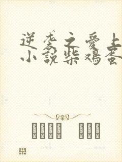 逆袭之爱上情敌小说柴鸡蛋免费阅读