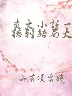 爽文小说一口气听到结局大女主