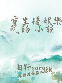 重生后娱乐圈是我的 小说