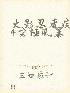 火影忍者疾风传4究极风暴