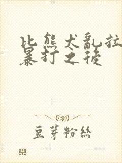 比熊犬乱拉尿被暴打之后