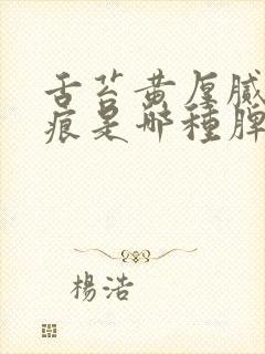 舌苔黄厚腻有齿痕是哪种脾虚