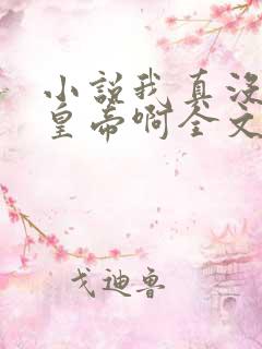 小说我真没想当皇帝啊全文阅读