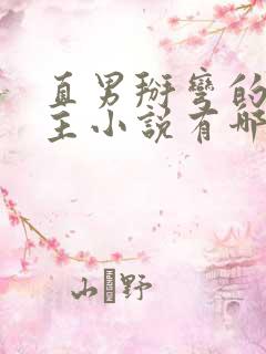 直男掰弯的双男主小说有哪些