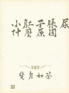 小肚子胀尿频是什么原因