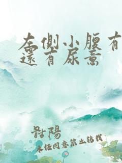 左侧小腹有点胀还有尿意