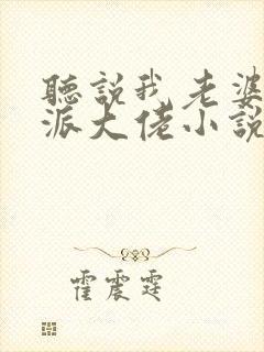 听说我老婆是反派大佬小说免费阅读