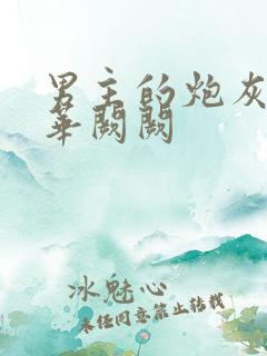 男主的炮灰前妻华阙阙